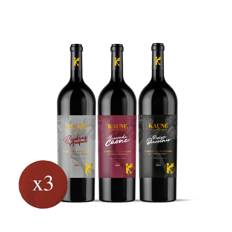 Pack Kaune 2021 y 2022 - Caja 3 Vinos
