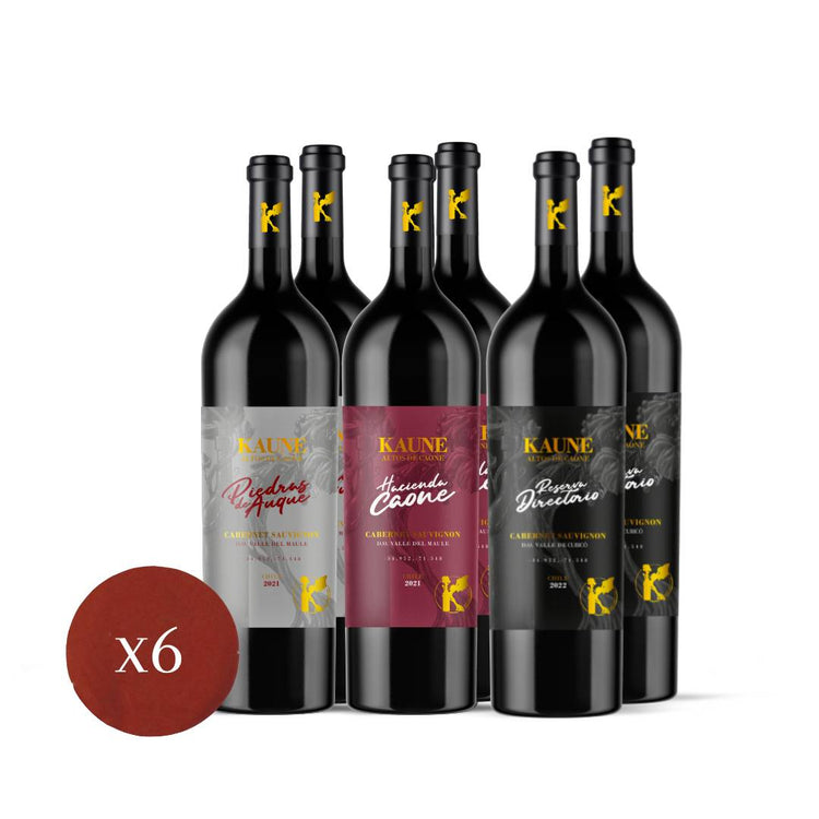 Pack Kaune 2021 y 2022- Caja 6 Vinos
