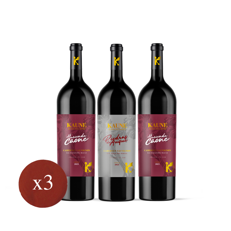 Pack Kaune 2021 - Promo 3 Vinos 2HC 1PDA
