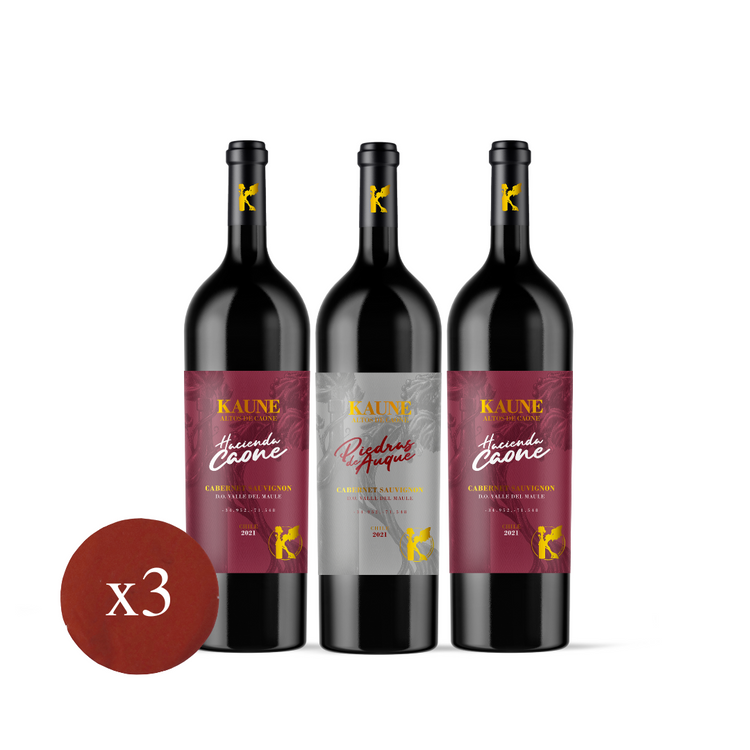 Pack Kaune 2021 - Promo 3 Vinos